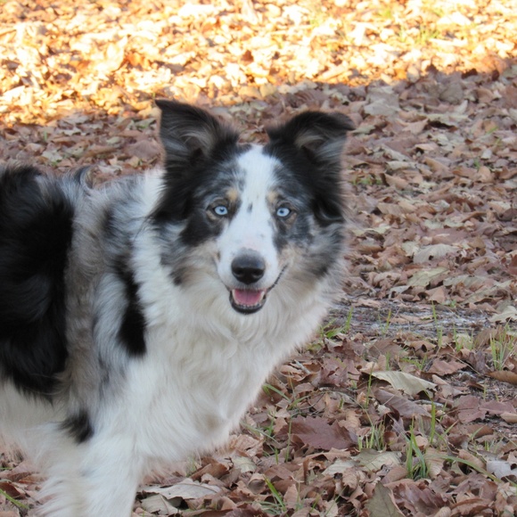 Bundle and save - Picture 4 of 6